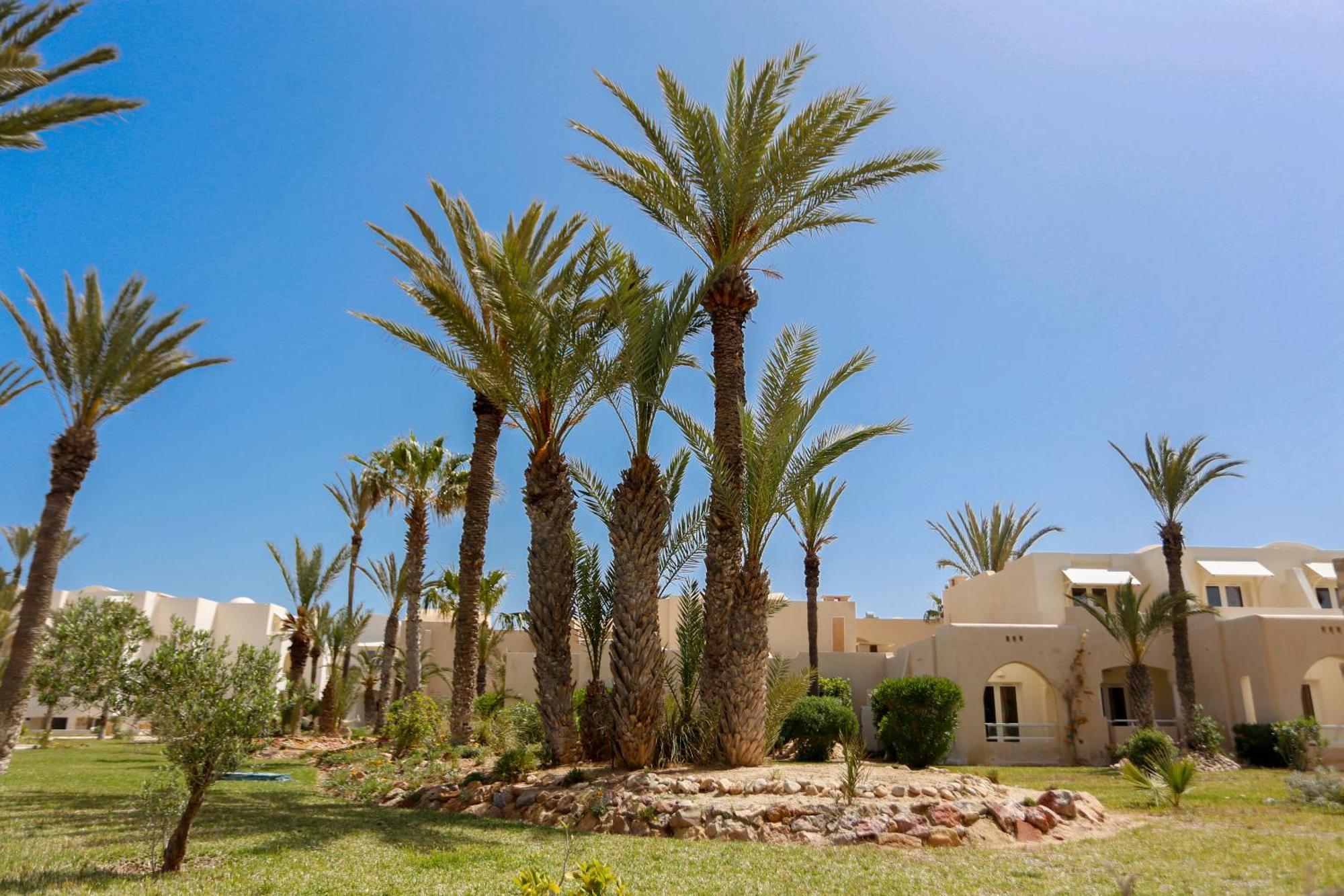 Telemaque Beach & Spa Mezraia Exterior foto